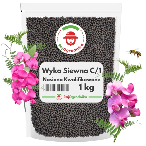 Wyka siewna C/1 nasiona kwalifikowane, na poplon i zielonkę 1 KG JARA ...