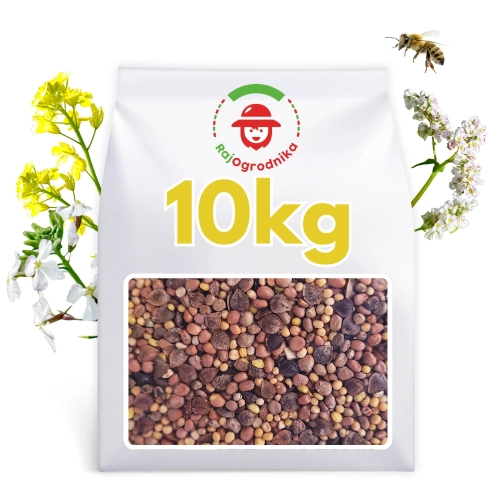 Mieszanka poplonowa ogólnoużytkowa szybkorosnąca MP-1 nasiona 10kg