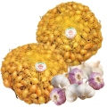Zestaw Cebula Dymka Zimowa Senshyu Yellow do sadzenia ZIMUJĄCY 2 x 500g + Czosnek Harnaś główki 10 szt. 