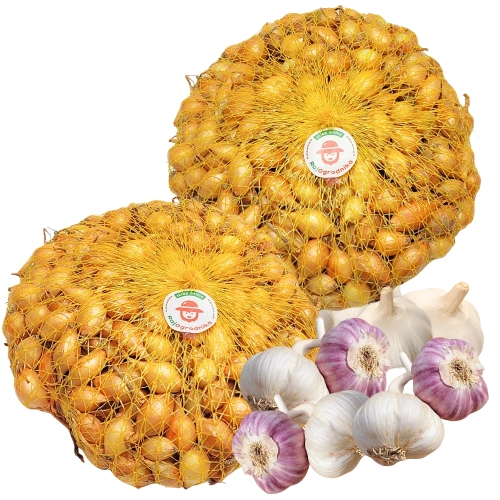 Zestaw Cebula Dymka Zimowa Senshyu Yellow do sadzenia ZIMUJĄCY 2 x 500g + Czosnek Harnaś główki 10 szt. 