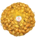 Zestaw Cebula Dymka Zimowa Senshyu Yellow do sadzenia ZIMUJĄCY 2 x 500g + Czosnek Harnaś główki 10 szt. 