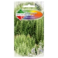 Rozmaryn lekarski nasiona 0,1g - Spójnia