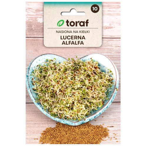 Lucerna Alfalfa nasiona na kiełki 20g - TORAF 