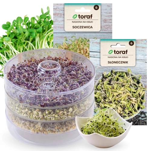 Kiełkownica 3 szalki na nasiona  - TORAF