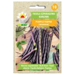 Fasola szparagowa karłowa Purple Teepee nasiona 30g - TORAF