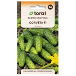 Ogórek gruntowy Corveta F1  nasiona 3g - TORAF