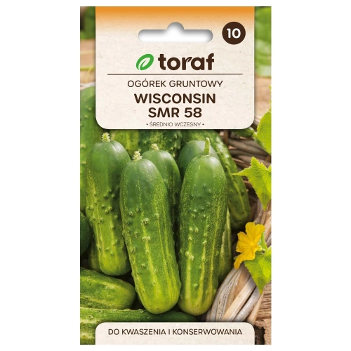 Ogórek gruntowy Wisconsin SMR 58 nasiona 5g - TORAF