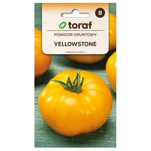 Pomidor gruntowy żółty Yellowstone nasiona 0,3g - TORAF