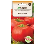 Pomidor szklarniowy Palava F1 nasiona 0,1g - TORAF