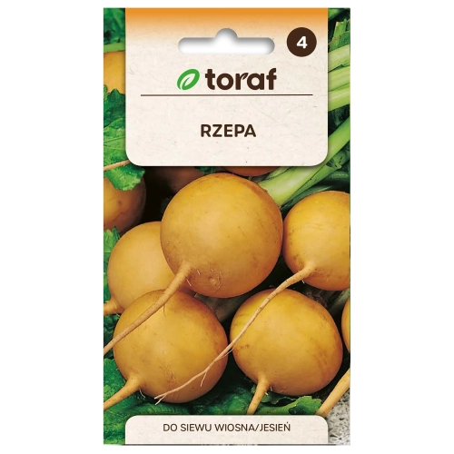 Rzepa Golden Ball nasiona 10g - TORAF