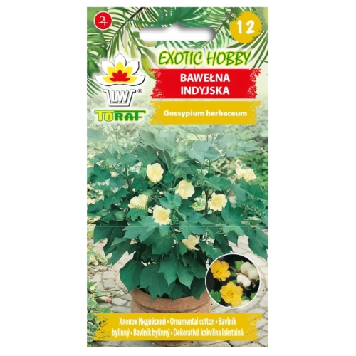 Bawełna indyjska nasiona 5 szt. - TORAF