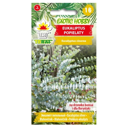 Eukaliptus popielaty nasiona 20szt. - TORAF