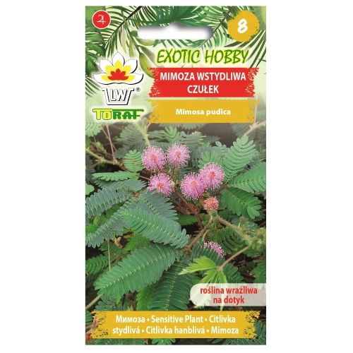 Mimoza wstydliwa czułek nasiona 0,2g - TORAF