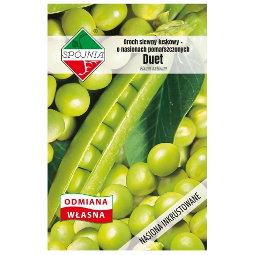 Groch łuskowy Duet nasiona 50g - Spójnia