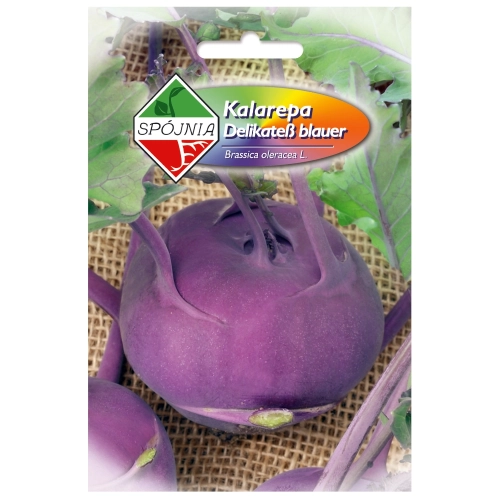 Kalarepa Delikatess Blauer nasiona 1g - Spójnia