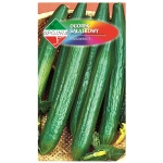 Ogórek sałatkowy Lech mieszaniec F1 nasiona 1g - Spójnia