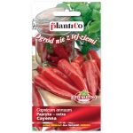 Papryka ostra Cayenna nasiona 0,4g - PlantiCo