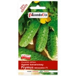 Ogórek konserwowy Prymus mieszaniec F1 nasiona 6g - PlantiCo