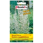 Szałwia muszkatołowa nasiona 0,5g - PlantiCo 