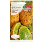 Kiwano Ogórek afrykański rogaty nasiona 10szt. - TORSEED