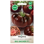 Pomidor szklarniowy czekoladowy Big Sacher F1 nasiona 8zt. - WegAna