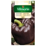 Papryka słodka Ingrid nasiona 0,5g - VILMORIN