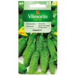 Ogórek gruntowy Śremski F1 nasiona 3g - VILMORIN 