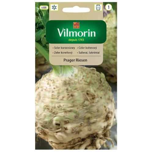Seler korzeniowy Prager Riesen nasiona 0,5g - VILMORIN