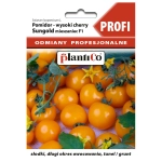 Pomidor pod osłony Sungold mieszaniec F1 nasiona 0,01g - PlantiCo