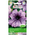 Petunia ogrodowa Tęcza nasiona 0,05g - PlantiCo