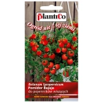 Pomidor karłowy drobnoowocowy Bajaja nasiona 0,2g - PlantiCo