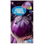 Oberżyna Bakłażan Violetta di Firenze nasiona 1g - POLAN