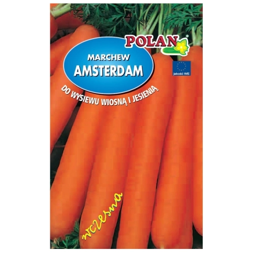 Marchew jadalna Amsterdam 3 nasiona otoczkowane 300szt. - POLAN 