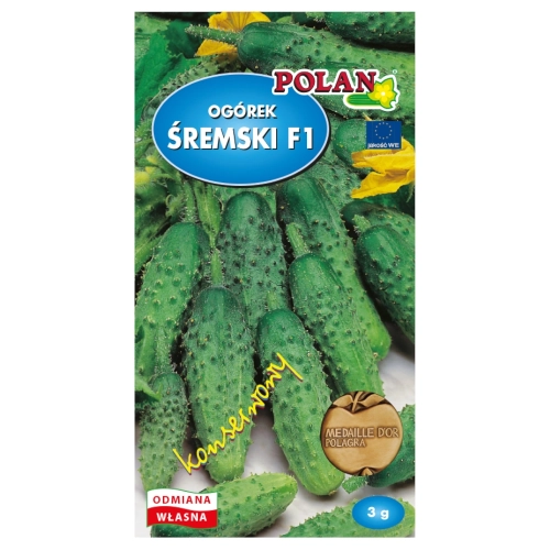 Ogórek gruntowy Śremski mieszaniec F1 nasiona otoczkowane 50szt. - POLAN