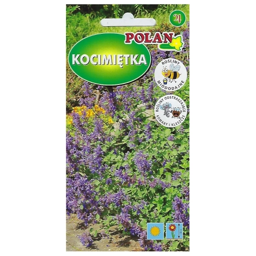 Kocimiętka Mussini  nasiona 0,2g - POLAN