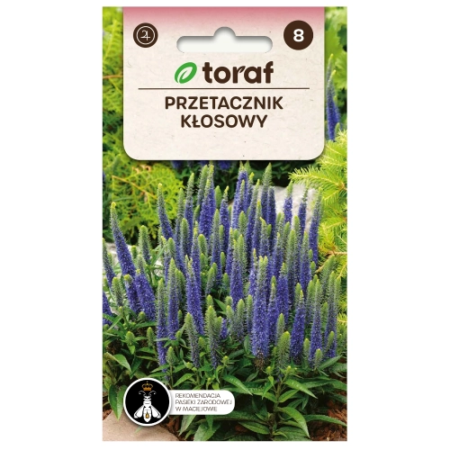 Przetacznik kłosowy nasiona 0,1g - TORAF