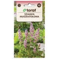 Szałwia muszkatołowa nasiona 0,5g - TORAF