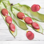 Bób Karmazyn nasiona 500g - TORSEED