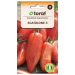 Pomidor gruntowy Scatolone 3 nasiona 0,5g - TORAF
