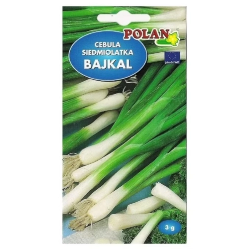 Cebula siedmiolatka Bajkal nasiona 3g - Polan