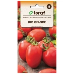 Pomidor gruntowy karłowy Rio Grande nasiona 0,5g - TORAF