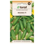 Ogórek gruntowy Regina F1 nasiona 5g - TORAF