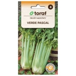 Seler naciowy Verde Pascal nasiona 0,5g - TORAF