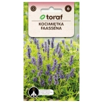 Kocimiętka Faassena nasiona 0,2g - TORAF