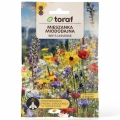 Łąka kwietna Mieszanka roślin miododajnych Bee's Universe nasiona 20g - TORAF 