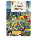 Łąka kwietna Mieszanka roślin miododajnych Bee's Universe nasiona 20g - TORAF 