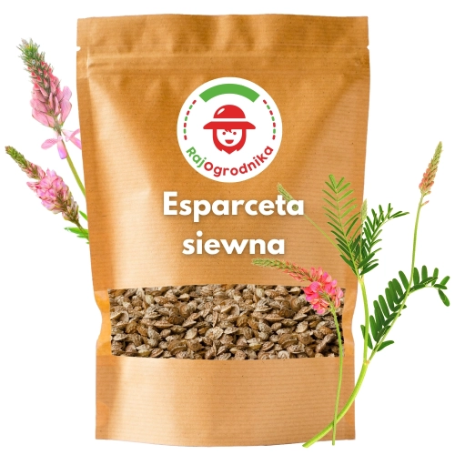 Esparceta siewna nasiona 1kg - REDUM