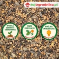 Letnia mieszanka miododajna intensywny pożytek dla pszczół nasiona 500g  - REDUM