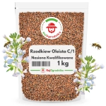 Rzodkiew oleista C/1 1 nasiona na poplon SZYBKO ROŚNIE 1 KG