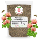 Koniczyna Szwedzka C/1 nasiona 1kg - FN Granum